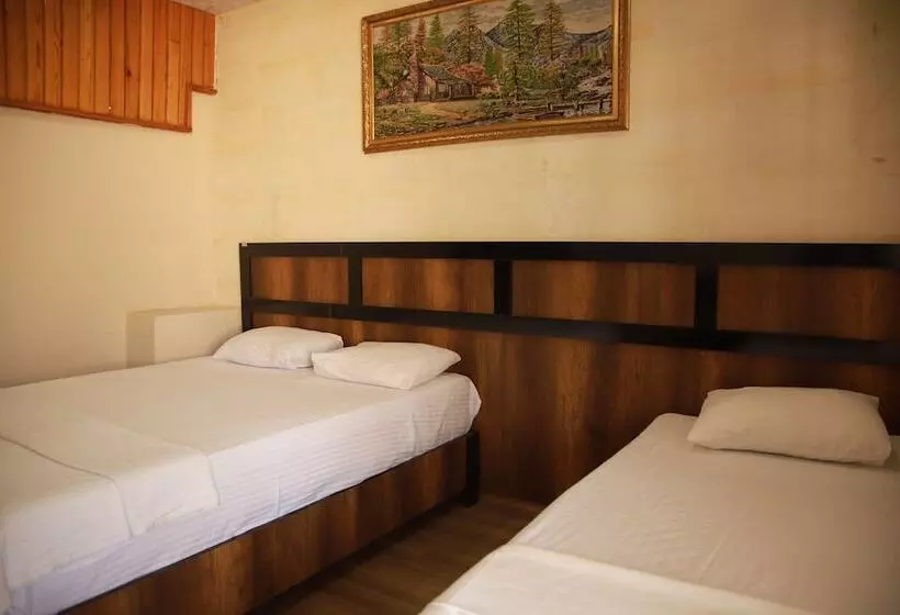 هتل Aslan Konuk Evi