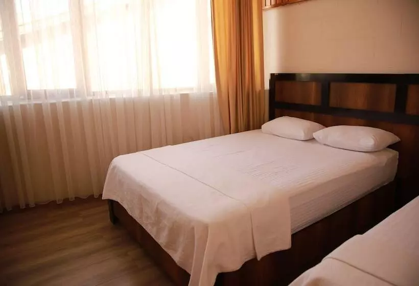 هتل Aslan Konuk Evi