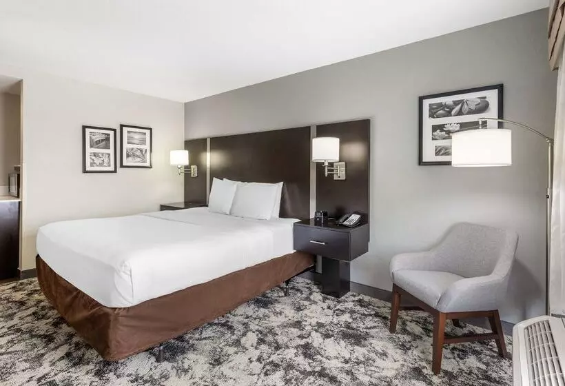 호텔 Best Western Plus Fairburnatlanta Southwest