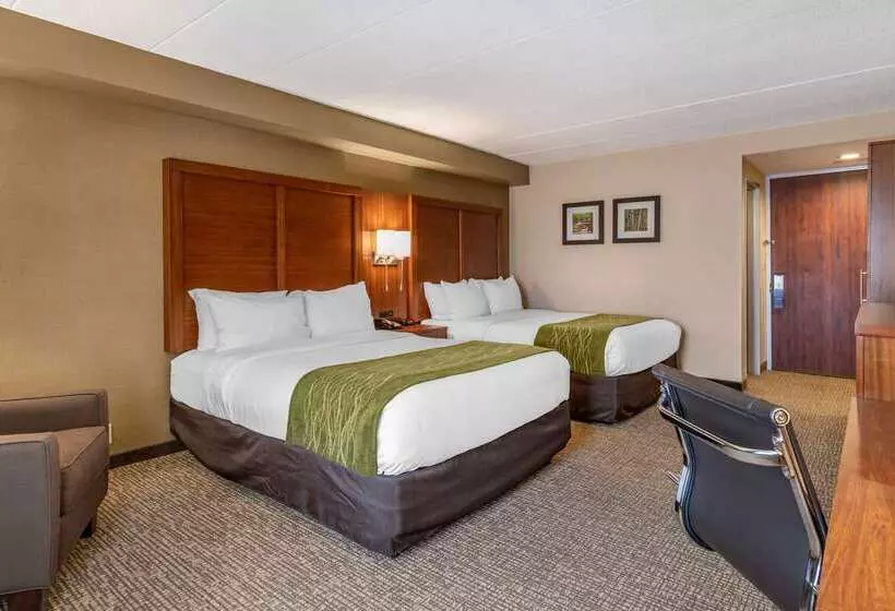 호텔 Comfort Inn Airport