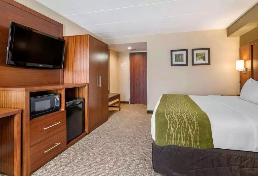 호텔 Comfort Inn Airport