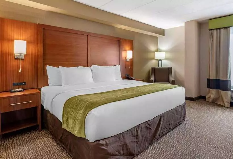 호텔 Comfort Inn Airport