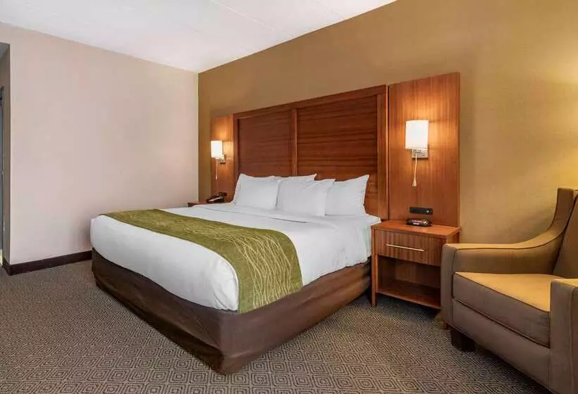 호텔 Comfort Inn Airport