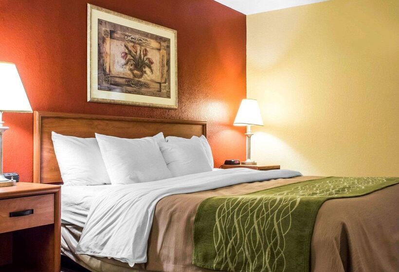 فندق Comfort Inn Green Valley I 19