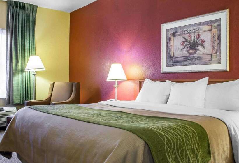 فندق Comfort Inn Green Valley I 19