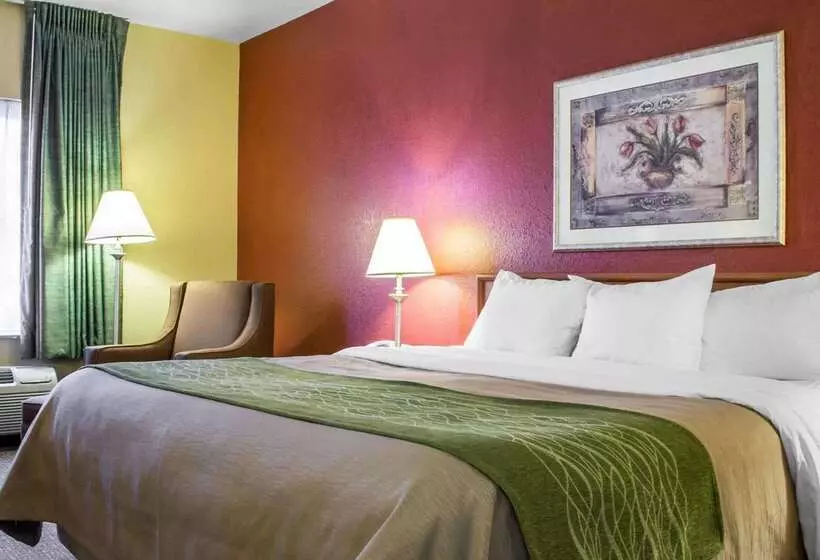 Отель Comfort Inn Green Valley I 19