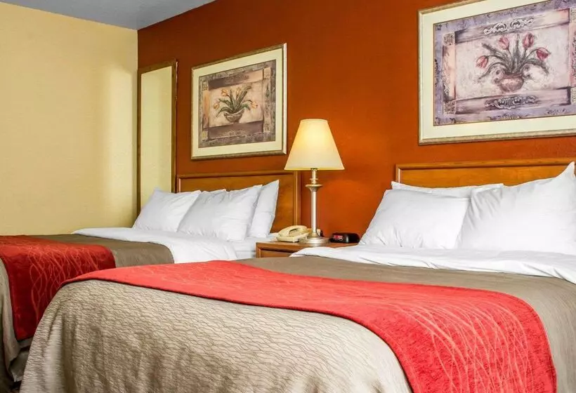 Отель Comfort Inn Green Valley I 19