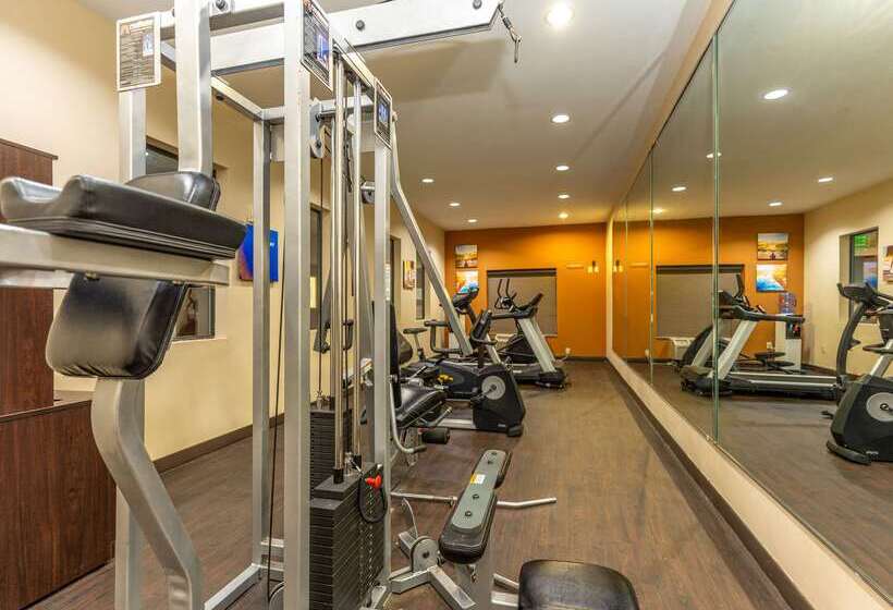 酒店 Comfort Suites Old Town Spring