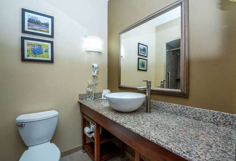 酒店 Comfort Suites Old Town Spring