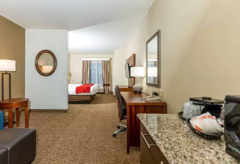 호텔 Comfort Suites Old Town Spring