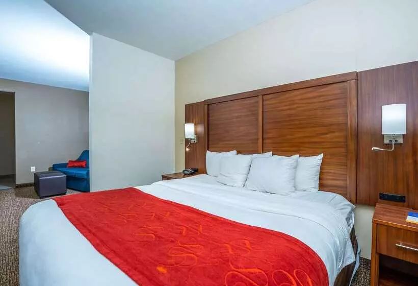 호텔 Comfort Suites Old Town Spring