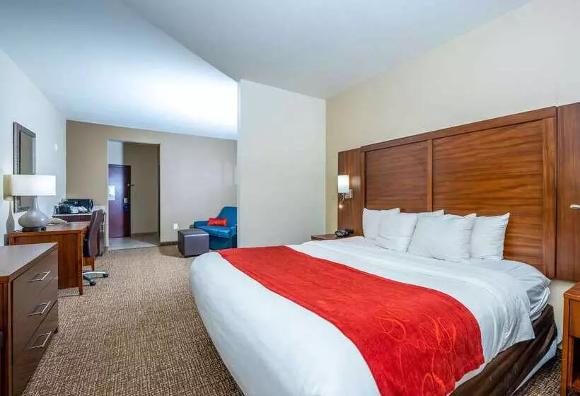 호텔 Comfort Suites Old Town Spring