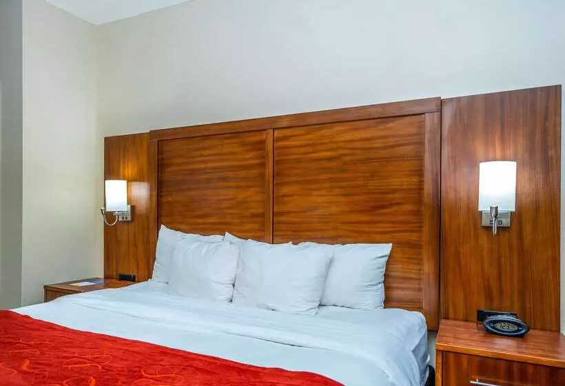 호텔 Comfort Suites Old Town Spring