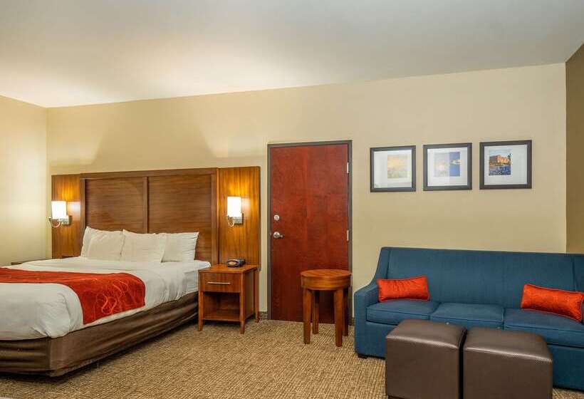 酒店 Comfort Suites Old Town Spring