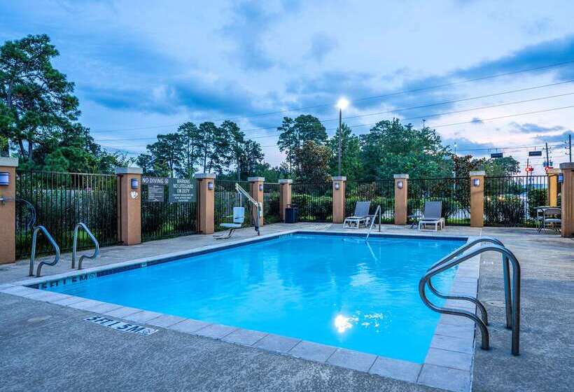 酒店 Comfort Suites Old Town Spring