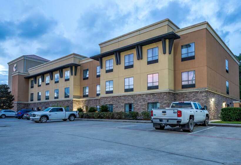 酒店 Comfort Suites Old Town Spring