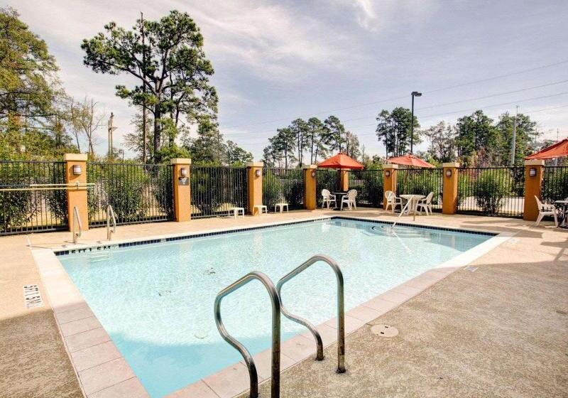 酒店 Comfort Suites Old Town Spring