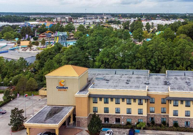 酒店 Comfort Suites Old Town Spring