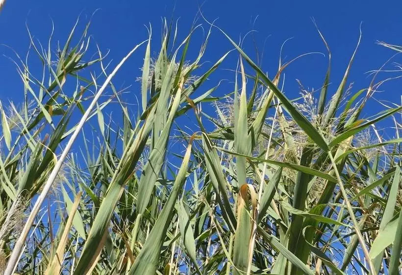 Hotel De Zeekoe Guest Farm