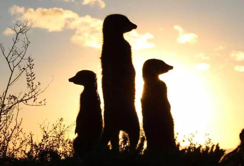 Hotel De Zeekoe Guest Farm