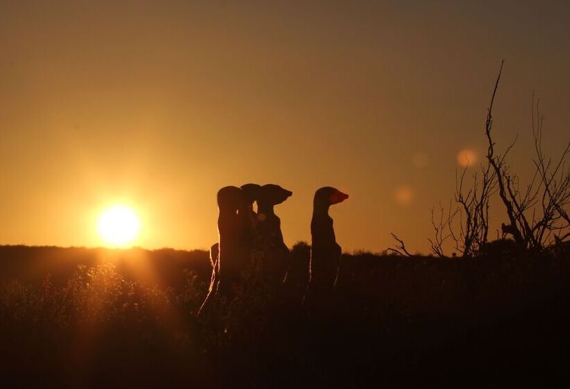 בית מלון כפרי De Zeekoe Guest Farm