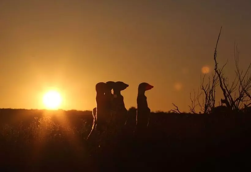 Hotel De Zeekoe Guest Farm