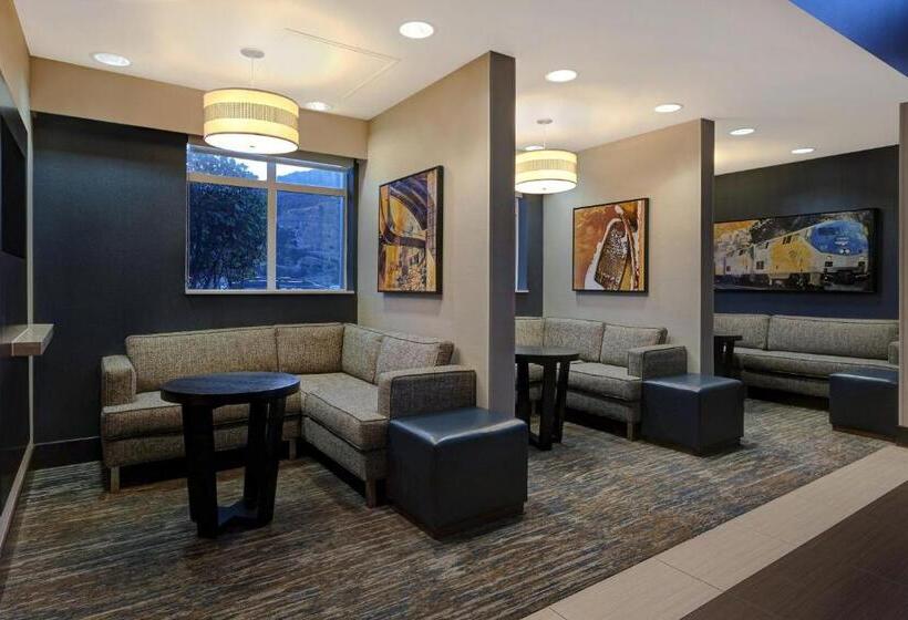 酒店 Residence Inn Glenwood Springs