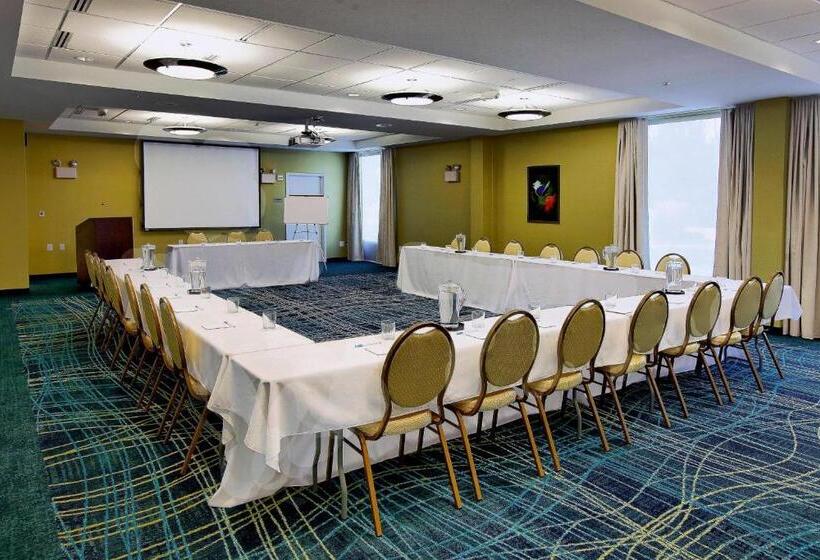 Hotel Springhill Suites By Marriott Lake Charles