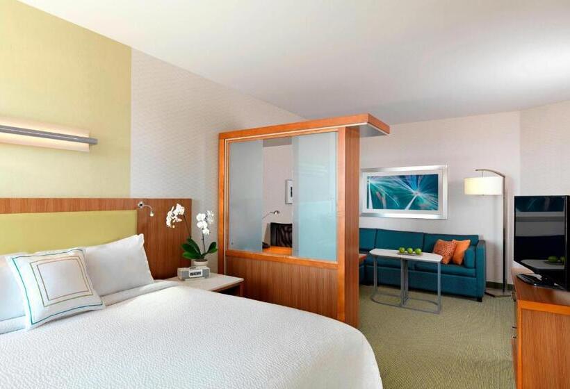 Hotel Springhill Suites By Marriott Lake Charles