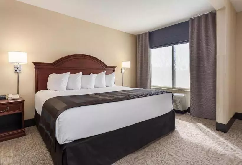 ホテル Wingate By Wyndham Columbia / Lexington