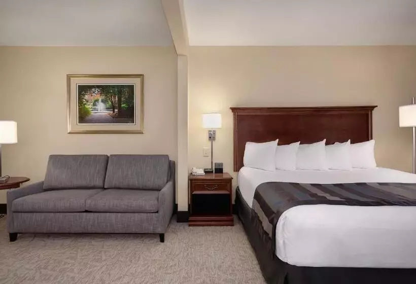 ホテル Wingate By Wyndham Columbia / Lexington