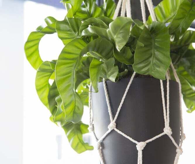 Отель Forum   Das Business & Lifestyle