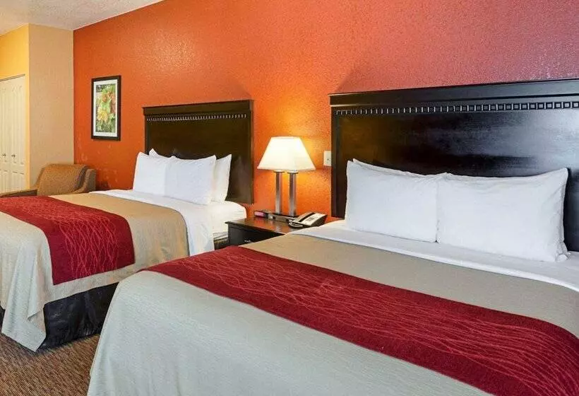 ホテル Comfort Inn & Suites Orange Montpelier