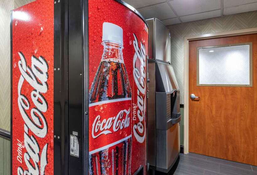 酒店 Comfort Inn & Suites Pauls Valley  City Lake