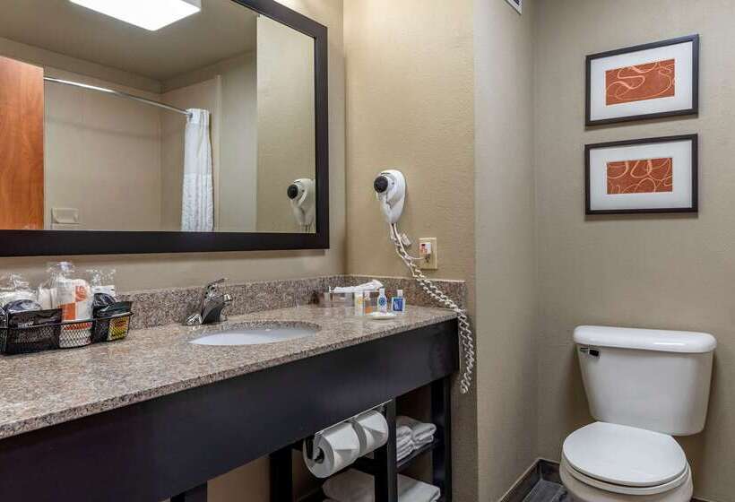 酒店 Comfort Inn & Suites Pauls Valley  City Lake