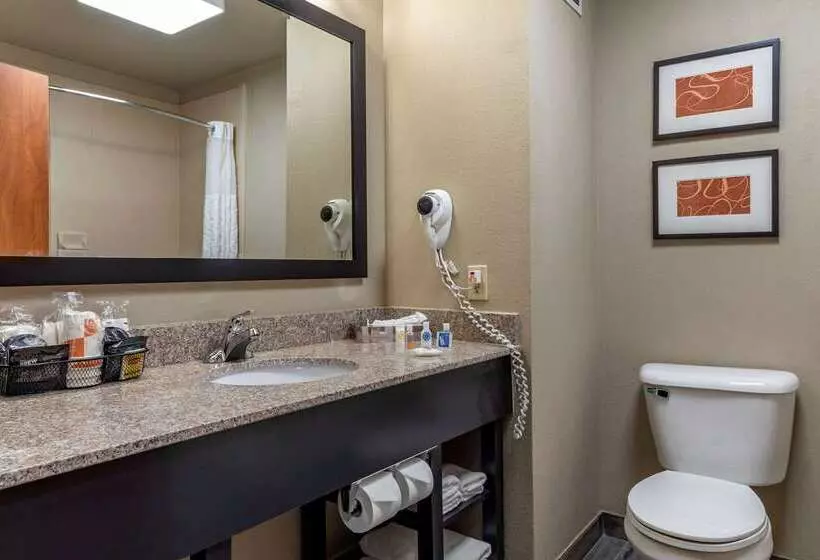 호텔 Comfort Inn & Suites Pauls Valley  City Lake