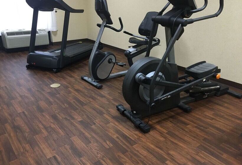 ホテル Comfort Inn & Suites