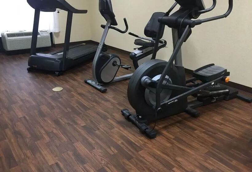 호텔 Comfort Inn & Suites