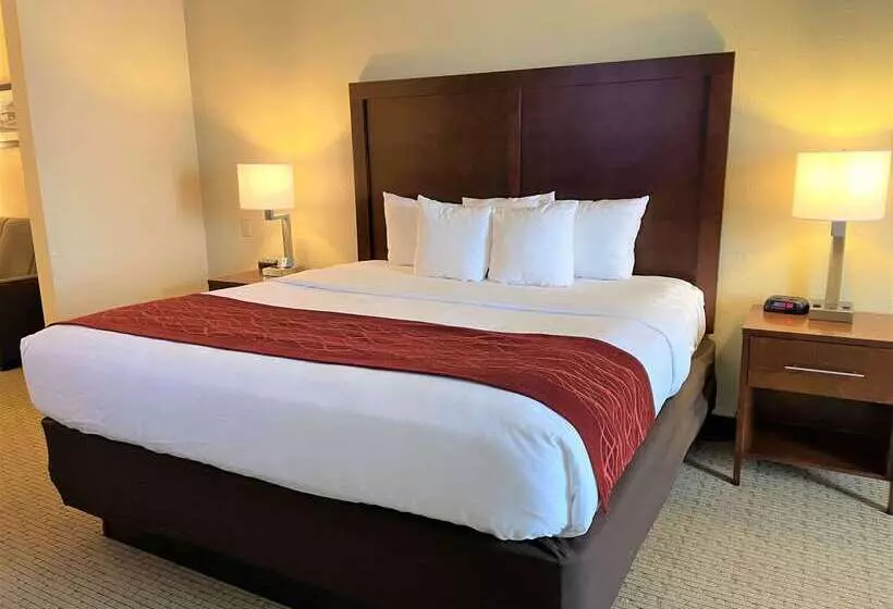 호텔 Comfort Inn & Suites