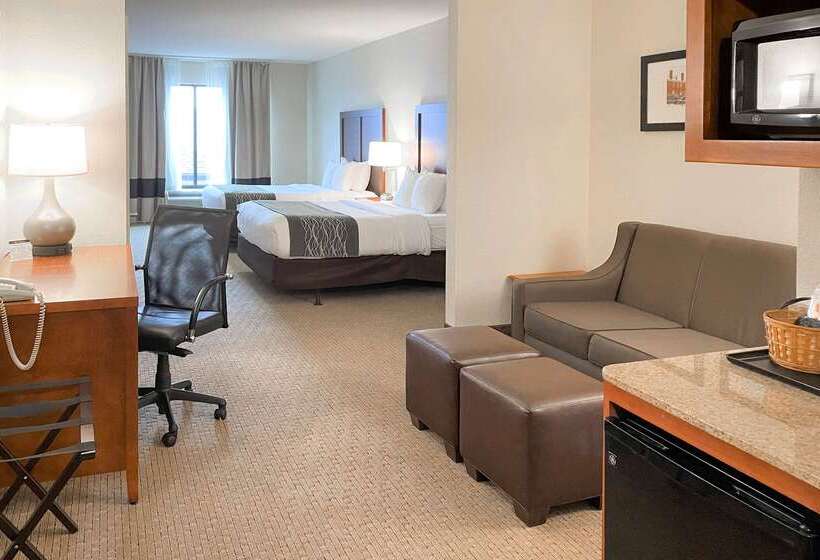 ホテル Comfort Inn & Suites