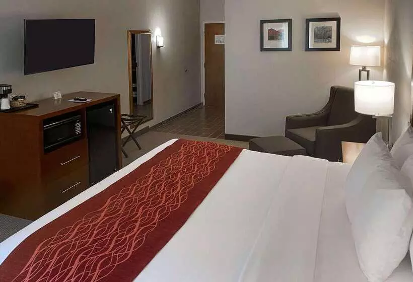 호텔 Comfort Inn & Suites