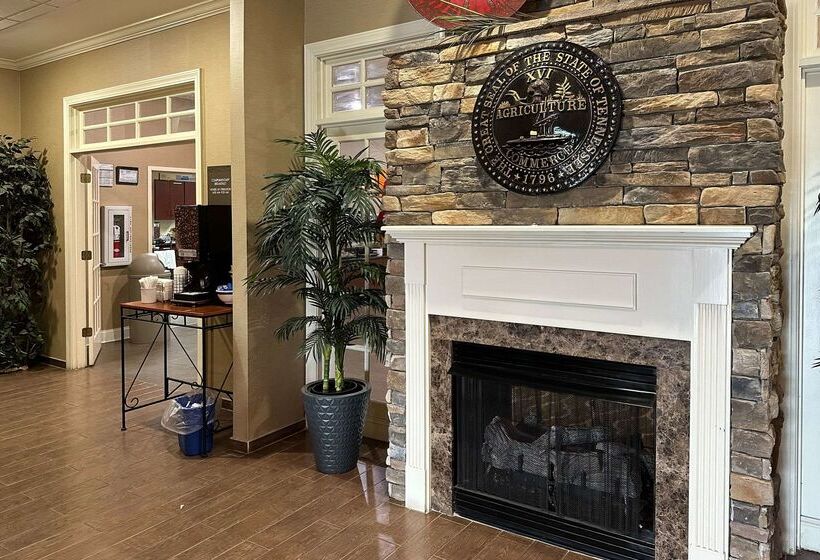 ホテル Comfort Inn & Suites