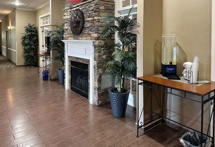 Отель Comfort Inn & Suites