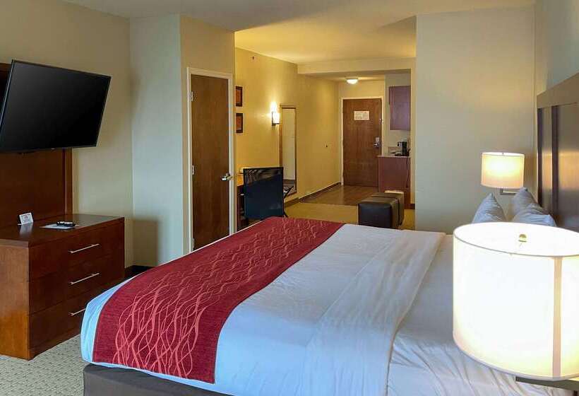 Отель Comfort Inn & Suites