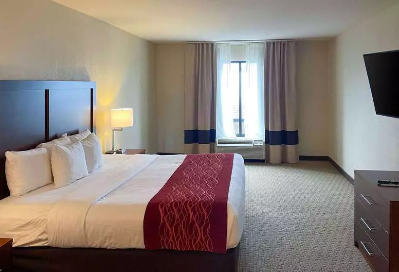 호텔 Comfort Inn & Suites