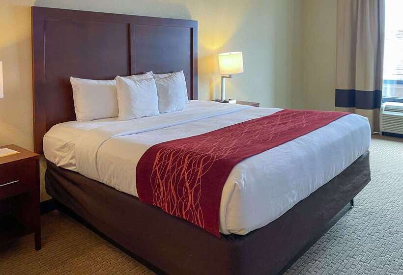Отель Comfort Inn & Suites