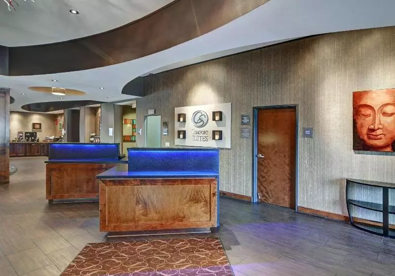 酒店 Comfort Suites Near Northeast Mall