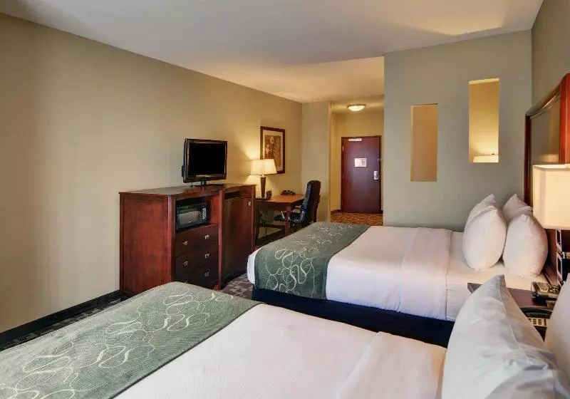 酒店 Comfort Suites Near Northeast Mall