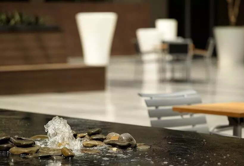 ホテル Courtyard By Marriott Mexico City Airport