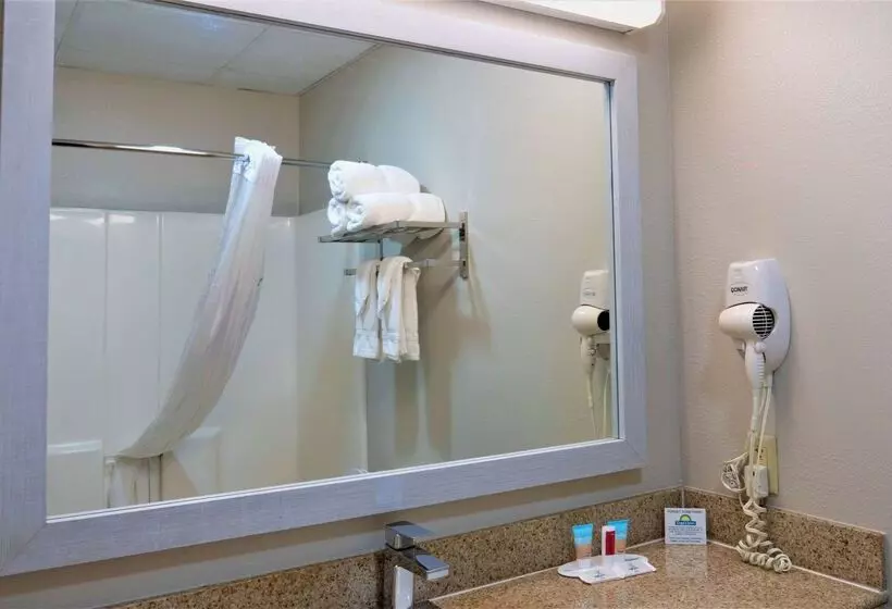 Hotel Days Inn & Suites By Wyndham Savannah North I95